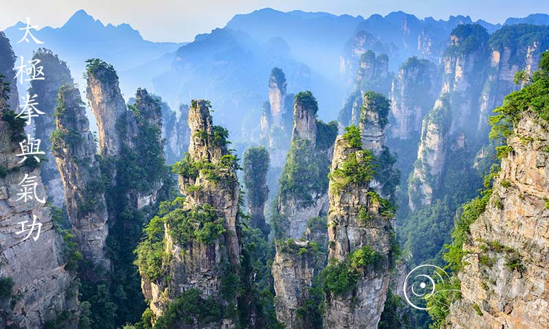 Spiralis Mirabilis - Rivista dedicata alle arti marziali cinesi e alla cultura tradizionale cinese con focus su Tai Chi QiGong e DaoYin